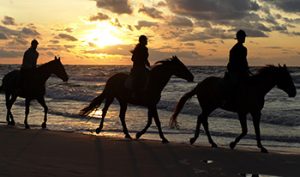 tours-horseback