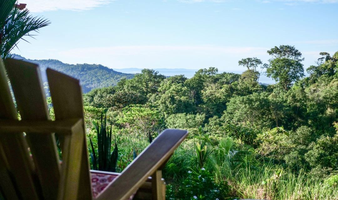 Palmas - Rocking Chair Views