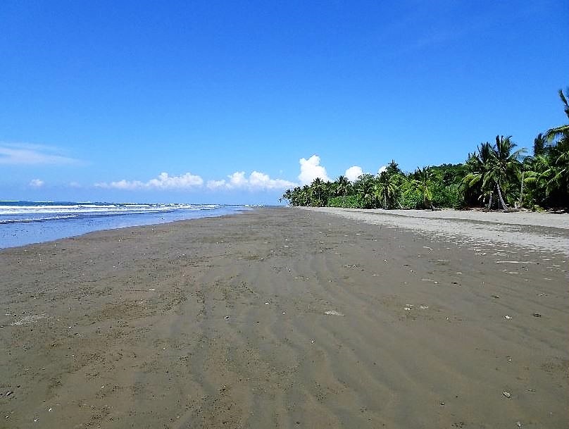 A dozen unique beaches close to Natures Edge - Playa Uvita - Beaches of Costa Ballena