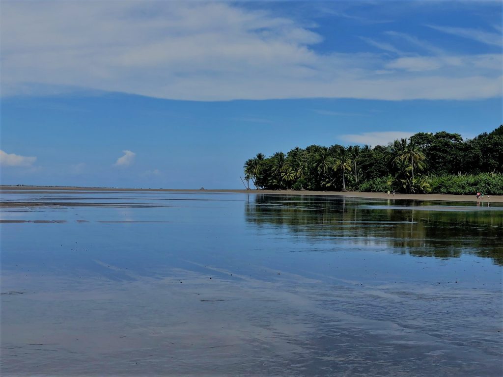 Beach Near Whales Tail