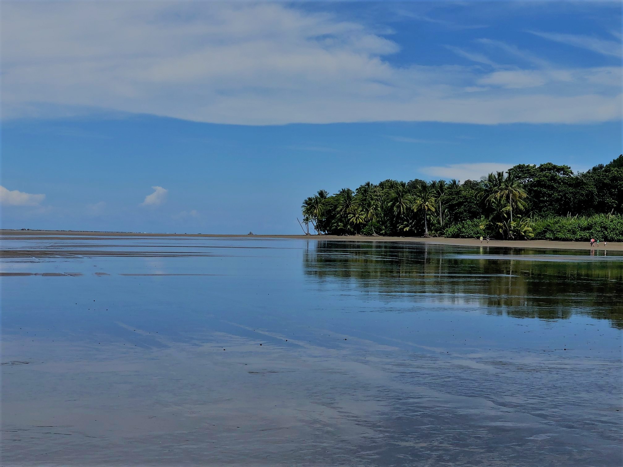 Beach Near Whales Tail