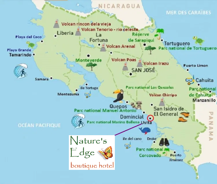 Nature's Edge Boutique Hotel - Affordable Luxury - Uvita, Costa Rica