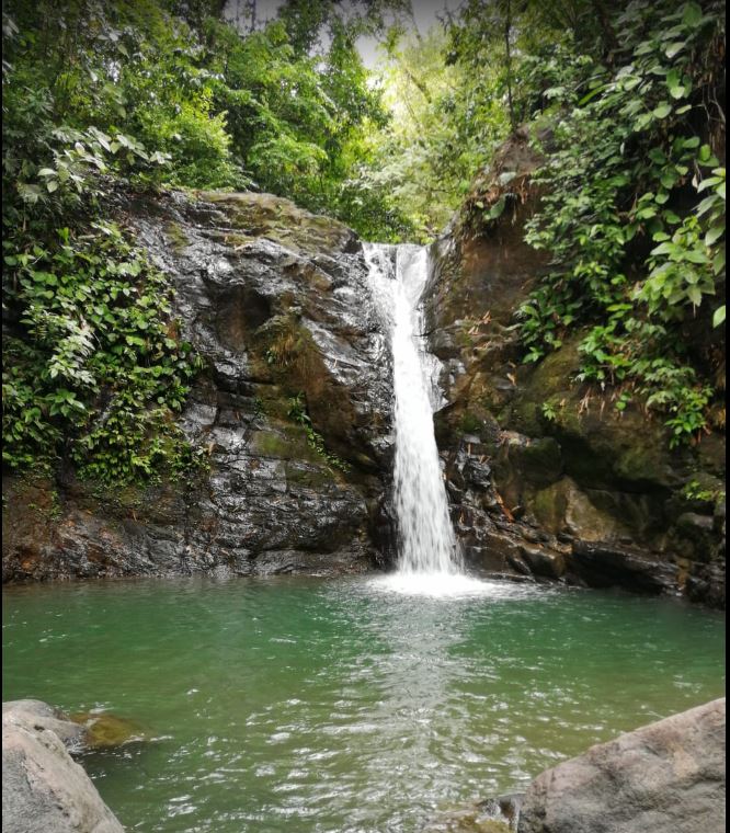 Tranquil Waterfall and Jungle Experience – Uvita Waterfall 