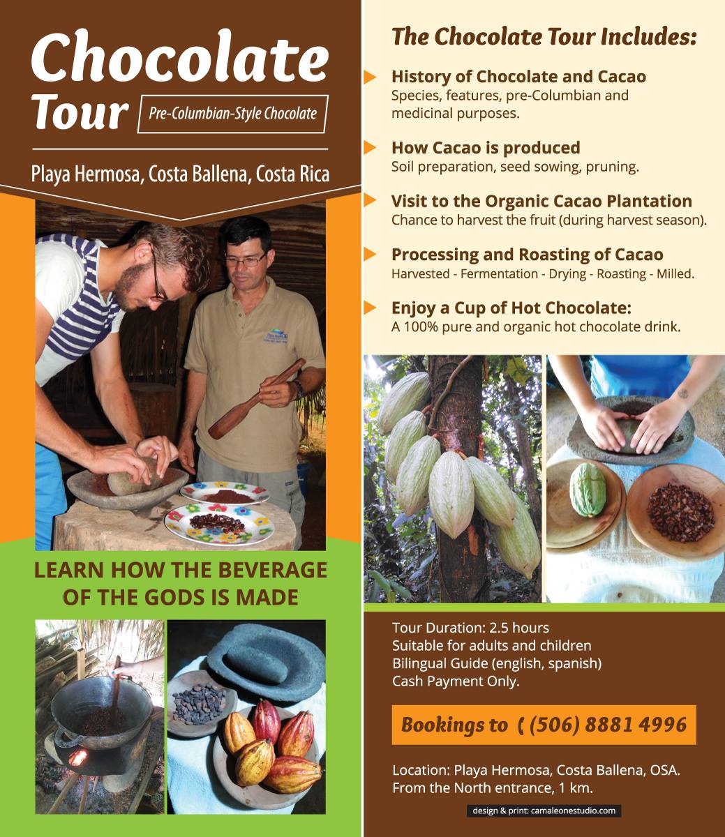 Chocolate Tour