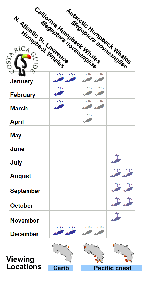 Whale Watching Calendar