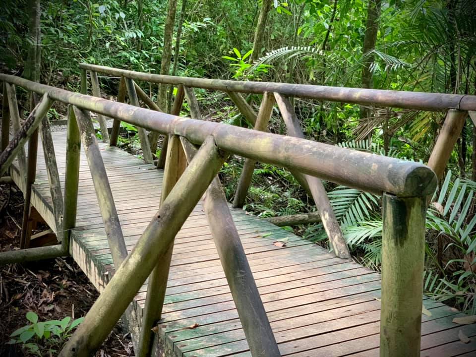 Manuel Antonio Bridge