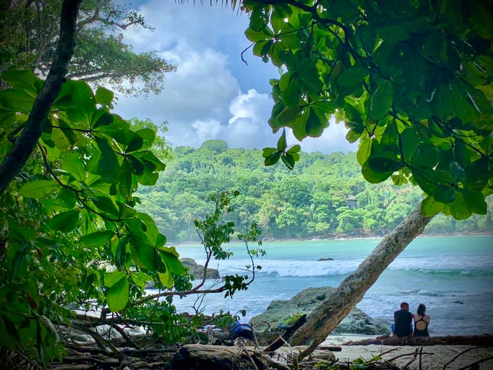 Manuel Antonio Beach with Palms