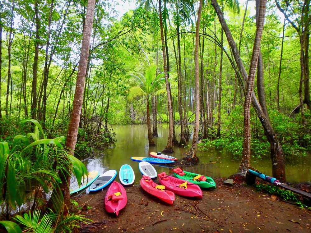 Mangrove Kayaks