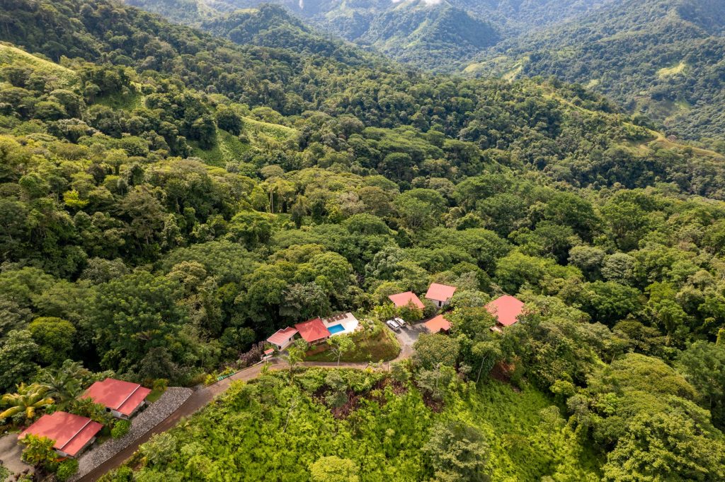 Jungle Canopy Boutique Hotel